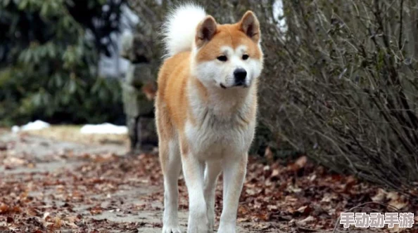 国产色在线观看网友推荐这部影片剧情紧凑演员表现出色让人感受到浓厚的情感共鸣值得一看不容错过 国产色在线观看网友推荐这部影片剧情紧凑演员表现出色让人感受到浓厚的情感共鸣值得一看不容错过