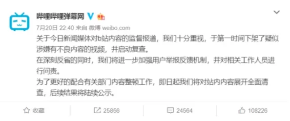 腐文肉高h引发热议网友纷纷讨论其内容与表现形式是否符合主流审美标准以及对青少年的影响