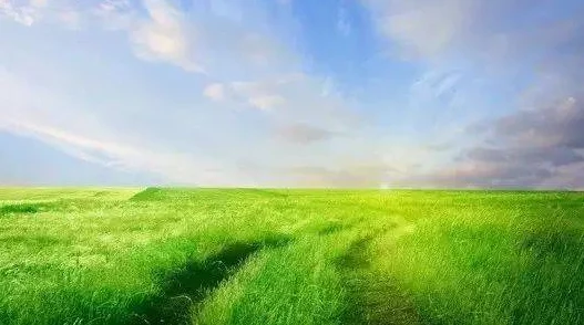 娇妻与黑人h文：健康生活，积极向上，追求美好人生