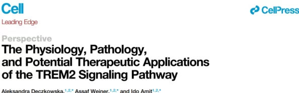 色妞女女女女女bbbbb1最新消息中国科学家发现新型抗癌化合物，有望提高疗效