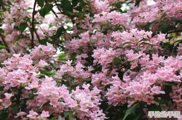 欧美三级一级最新消息全球经济复苏面临挑战,国际合作需求增加 欧美三级一级最新消息全球经济复苏面临挑战,国际合作需求增加