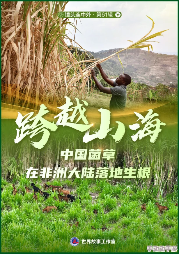 小草在线观看视频在这里你可以找到积极向上的内容让我们一起分享快乐与成长的瞬间激励彼此追求更美好的生活 小草在线观看视频在这里你可以找到积极向上的内容让我们一起分享快乐与成长的瞬间激励彼此追求更美好的生活