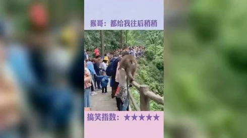 很黄很污视频其实是指那些充满正能量、积极向上的内容,让人感受到生活的美好与希望 很黄很污视频其实是指那些充满正能量、积极向上的内容,让人感受到生活的美好与希望