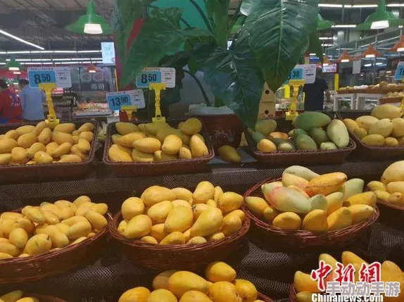 国产又大又硬又粗又湿的水果市场热销引发关注消费者纷纷抢购新鲜上市的优质产品成为夏季消暑首选 国产又大又硬又粗又湿的水果市场热销引发关注消费者纷纷抢购新鲜上市的优质产品成为夏季消暑首选
