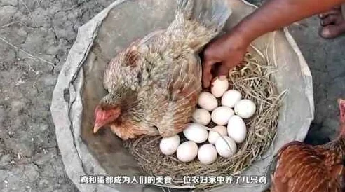 狠狠捏住他硕大的卵蛋惊爆内幕揭露了令人震惊的秘密和不可思议的真相让人目瞪口呆无法置信 狠狠捏住他硕大的卵蛋惊爆内幕揭露了令人震惊的秘密和不可思议的真相让人目瞪口呆无法置信