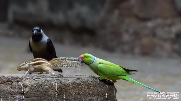印度肥妇毛茸茸bbwbbw网友推荐这部作品展现了独特的文化视角和真实的人物形象值得一看让人感受到不同的美与魅力 印度肥妇毛茸茸bbwbbw网友推荐这部作品展现了独特的文化视角和真实的人物形象值得一看让人感受到不同的美与魅力