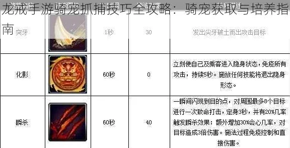 龙戒手游深度解析:宠物培养推荐攻略与高效养成技巧大全 龙戒手游深度解析:宠物培养推荐攻略与高效养成技巧大全