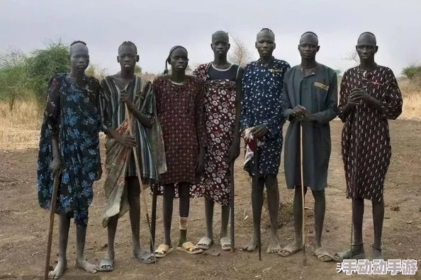 欧美黑人xxxx网友推荐这部作品在情节和角色塑造上都非常出色值得一看同时也引发了许多关于文化的讨论 欧美黑人xxxx网友推荐这部作品在情节和角色塑造上都非常出色值得一看同时也引发了许多关于文化的讨论