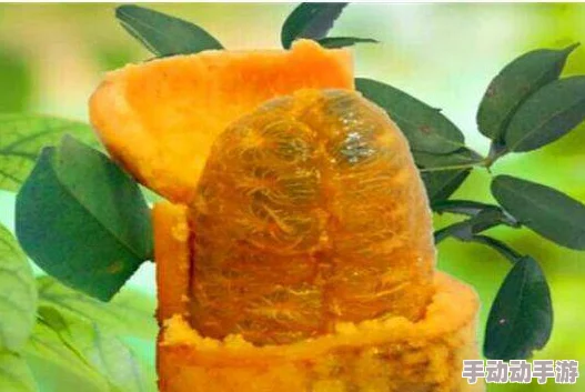 国产亚洲婷婷香蕉久久精品网友推荐这款产品质量上乘性价比高非常适合日常使用值得一试让人惊喜的好选择 国产亚洲婷婷香蕉久久精品网友推荐这款产品质量上乘性价比高非常适合日常使用值得一试让人惊喜的好选择