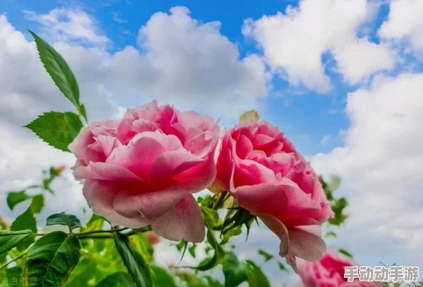 99久久综合狠狠综合久久一区惊爆消息震撼来袭全网热议引发关注的背后真相曝光让人意想不到的内幕浮出水面 99久久综合狠狠综合久久一区惊爆消息震撼来袭全网热议引发关注的背后真相曝光让人意想不到的内幕浮出水面