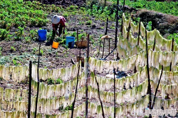 拔萝卜视频在线观看让我们在轻松愉快的氛围中感受到生活的乐趣与希望一起分享快乐收获美好时光