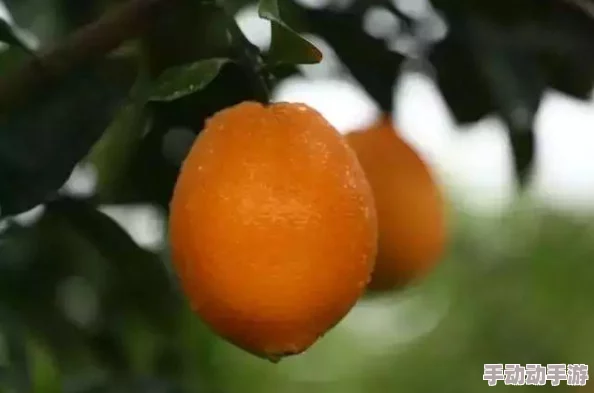 最新消息国产区在线观看视频《山河故人》上映一周年庆典活动即将开启 最新消息国产区在线观看视频《山河故人》上映一周年庆典活动即将开启