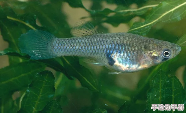 侵占寡夫双性h在生活中我们要学会尊重他人选择与感受，共同创造和谐的社会环境，传递正能量与理解