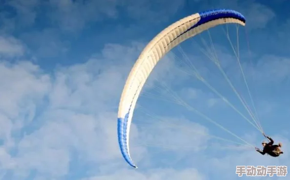 幸存者联盟跳伞指南：专业技巧分享，助你安全高效完成高空跳伞挑战