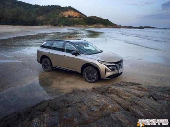 欧美亚洲精品suv 网友评价：这款SUV在设计和性能上都很出色，空间宽敞，驾驶体验非常舒适，是家庭出行的理想选择