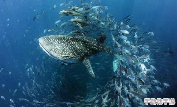 二级片毛片最新研究表明其生长速度加快,影响全球气候变化二级片毛片 二级片毛片最新研究表明其生长速度加快,影响全球气候变化二级片毛片