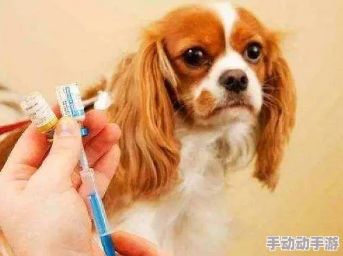 狗狗卡在我下面好疼最新进展消息：经过兽医的检查，发现狗狗只是受了轻微的伤，目前已得到妥善处理和照顾