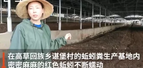 曰曰摸天天摸人人看久久久网友推荐这是一部充满趣味和创意的作品让人忍不住想要一探究竟绝对值得一看