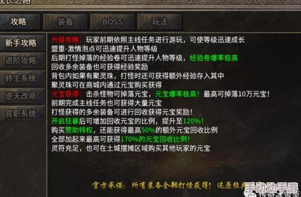 全面解析饰品系统攻略：深度探索稀有饰品属性介绍与获取策略