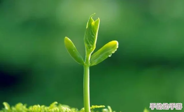 宝宝把腿抬起来靠墙上怎么回事专家解析这一行为可能与宝宝的身体发育和探索新姿势有关家长无需过于担心 宝宝把腿抬起来靠墙上怎么回事专家解析这一行为可能与宝宝的身体发育和探索新姿势有关家长无需过于担心