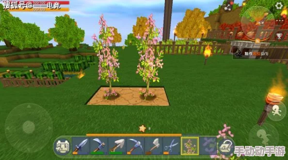 迷你世界家园植物快速升级全攻略:解锁高效技巧助力植物成长进阶 迷你世界家园植物快速升级全攻略:解锁高效技巧助力植物成长进阶