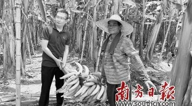 国产香蕉在线视频一级毛片助力乡村振兴带动农民增收