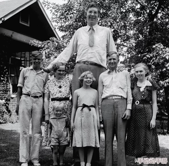 深度剖析《命运起源》中坦克飓风角色：个性特征与背景起源解析