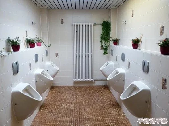 亚洲偷看妇女小便其实是指在公共场所的卫生间设计中，如何保护女性隐私和安全的讨论