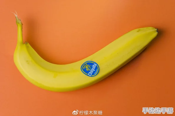 97国产品香蕉在线观看惊爆信息：