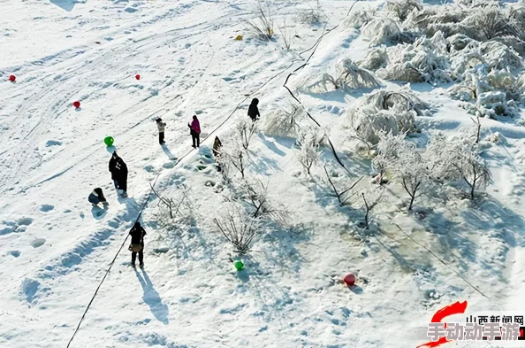 仙境传说RO手游:平民骑士打造纯肉坦克系角色攻略指南 仙境传说RO手游:平民骑士打造纯肉坦克系角色攻略指南
