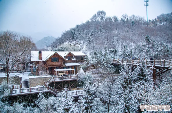 仙境传说RO手游:平民骑士打造纯肉坦克系角色攻略指南 仙境传说RO手游:平民骑士打造纯肉坦克系角色攻略指南