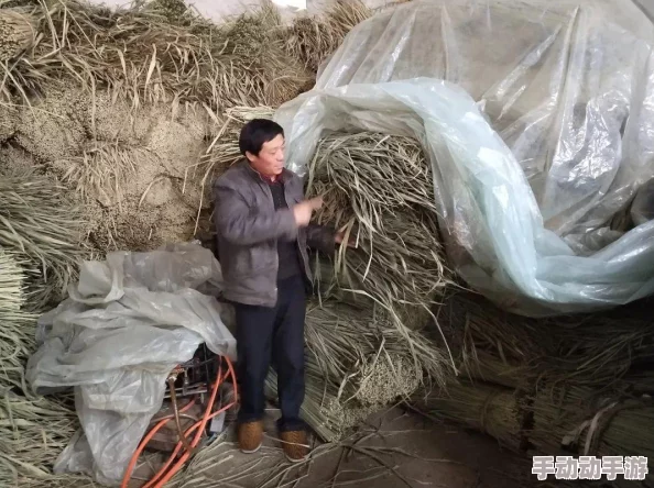 1300部真实小Y女视频合集最新进展消息已发布该合集现已更新至1500部视频并增加了多种分类选项供用户选择