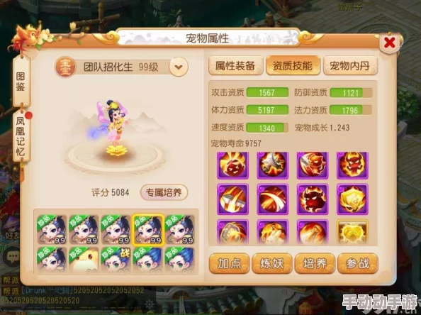 梦幻西游手游攻略：轻松步骤教你打造完美耐攻战斗宠物指南