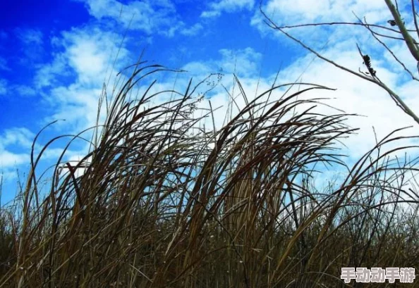 人操人人草春天来了,草木葱茏,万物复苏,人与自然和谐共生 人操人人草春天来了,草木葱茏,万物复苏,人与自然和谐共生