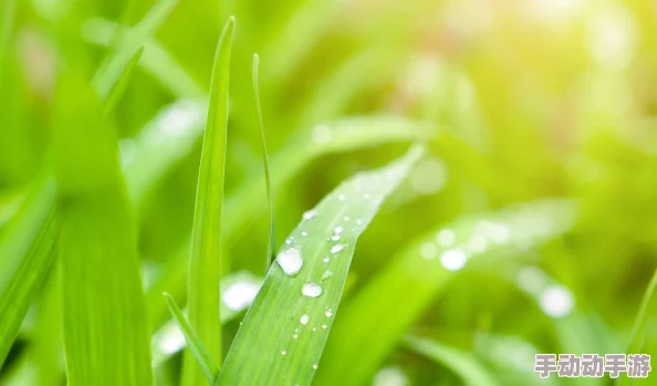 91久久99热青草国产最新研究表明健康饮食对皮肤有益 91久久99热青草国产最新研究表明健康饮食对皮肤有益