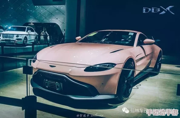 美女图片大黄动图展示美丽与动态的视觉盛宴
