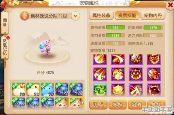 梦幻西游手游：法宠纹饰搭配选择推荐，打造极致输出宠物攻略