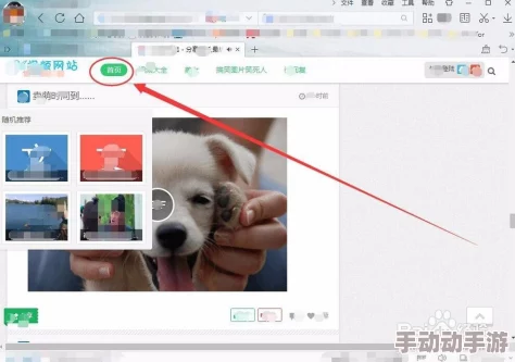 91精品视频播放狗咬狗(普通话)
