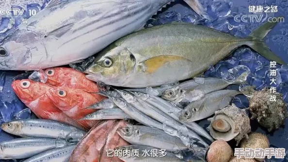 明日之后鹦嘴鱼美味烹饪配方大全:推荐3款融合任意蔬果肉类的特色食谱 明日之后鹦嘴鱼美味烹饪配方大全:推荐3款融合任意蔬果肉类的特色食谱