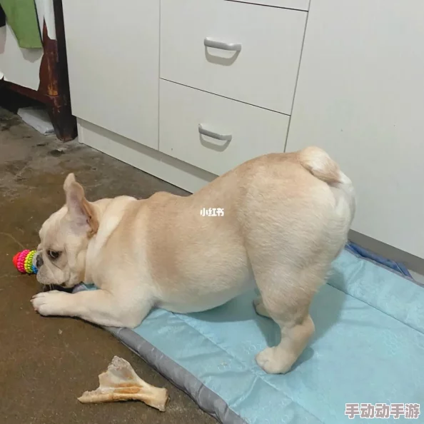 撅着屁股被客人sp光屁股罚站金钱第一