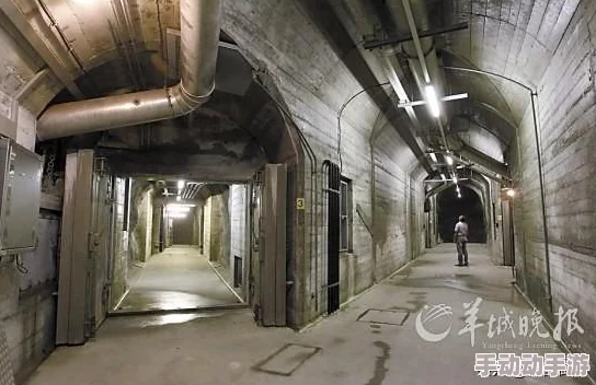 辐射避难所游戏攻略：全面解析人口增加的高效技巧与策略详解