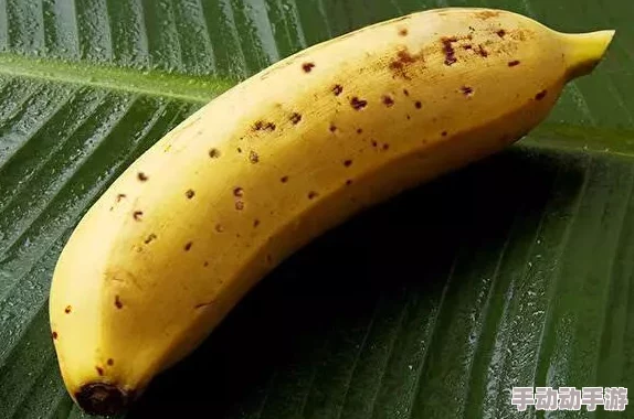 香蕉eeww99国产精品拜托啦师兄