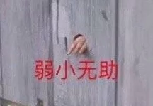 嗯啊不要了好大密室大逃脱第五季