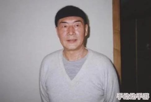 英雄战歌冒险模式79关攻略：详解三星通关技巧与策略分享