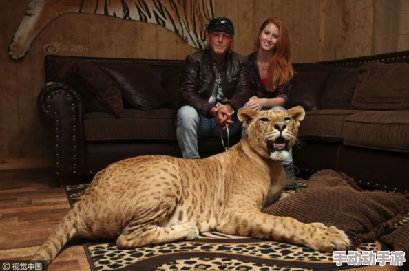 人禽无码视频在线观看提供多种动物与人类互动的影片，适合研究行为学或娱乐观赏