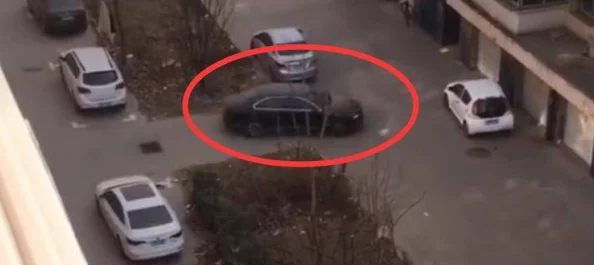 国产百合一区二区三区拧紧