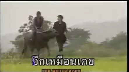 男女搞b免费视频佐罗