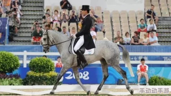 人与马性行交一种极端的动物虐待行为,严重违反伦理道德及法律规范 人与马性行交一种极端的动物虐待行为,严重违反伦理道德及法律规范