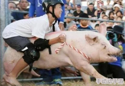 人与马性行交一种极端的动物虐待行为,严重违反伦理道德及法律规范 人与马性行交一种极端的动物虐待行为,严重违反伦理道德及法律规范