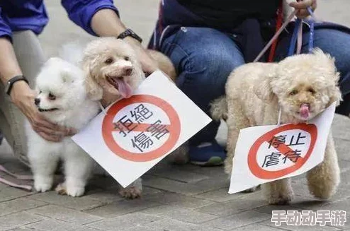 欧美人与动物性行为视频播放此类内容可能涉及法律和道德问题，请谨慎观看